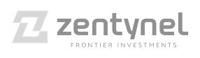 Zentynel Frontier Investments