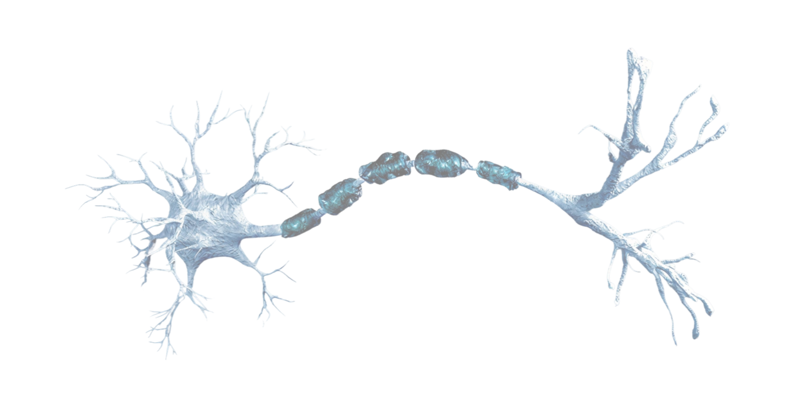 Neuron illustration for BioHermes clinical study